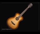 cat_guitares_acoustiques