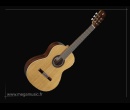 cat_guitares_classiques