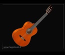 cat_guitares_flamenco