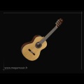 cat_guitares_classiques-1-2
