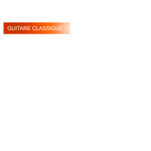 HOUSSE GUITARE CLASSIQUE HOUSSE GUITARE CLASSIQUE