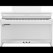 cropped-clp-845-209802