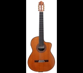 guitar-camps-cut-900-cedar-pro-blennd-2022