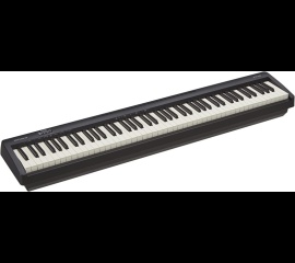 roland_fp10_1193668471