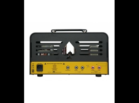 ace-amplification-colt