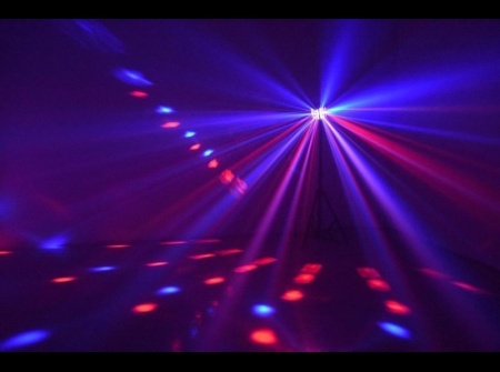 beamz_-_radicalii_1132177628