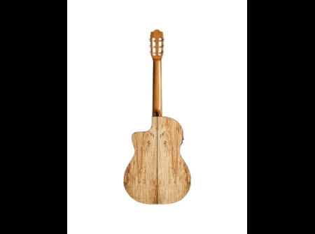 cordoba-c5-cet-spalted-maple-limited-edition