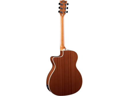 gea-nxt-a100cwe-nat-3-b