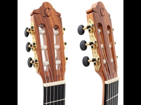 guitar-camps-cut-900-cedar-pro-blennd-2022-head