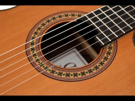 guitar-camps-cut-900-cedar-pro-blennd-2022-rosette