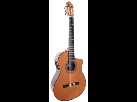guitar-camps-cut-900-cedar-pro-blennd-2022-side