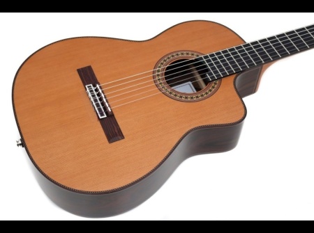 guitar-camps-cut-900-cedar-pro-blennd-2022-top
