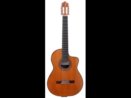 guitar-camps-cut-900-cedar-pro-blennd-2022