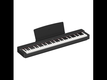 yamaha-p-145_1300941484