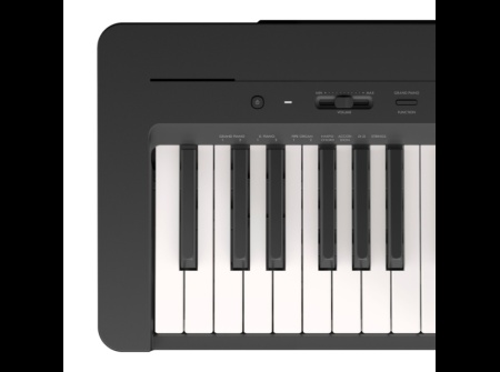 yamaha-p-145_793864125