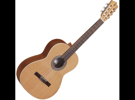 z-nature-4-4-cedre-acajou-hd-134985